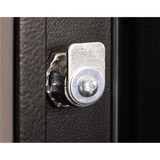Digitus Puerta frontal de vidrio para carcasa de pared de 19" 16U serie Unique, Panel frontal negro