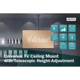 Digitus Soporte universal para TV de techo con ajuste telescópico de altura negro