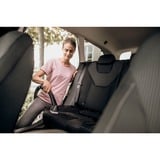 Kärcher WD 5 S V-25/5/22, Aspiradora en húmedo y en seco amarillo/Acero fino