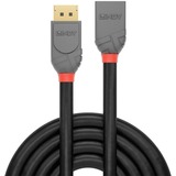 Lindy 36496, Cable negro