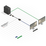 Lindy Adaptador base DisplayPort 1.2 a DVI-D negro