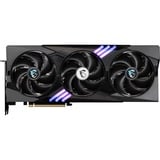 MSI V532-019R, Tarjeta gráfica 