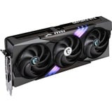MSI V532-019R, Tarjeta gráfica 