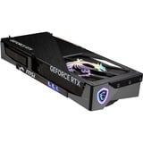 MSI V532-019R, Tarjeta gráfica 