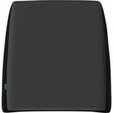 Razer RC81-03830101-R3M1 cojín Negro Cojín para lumbares, Almohada negro, Cojín para lumbares, Espuma, Silla, Terciopelo, Negro, Rectángulo