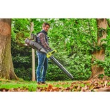 Ryobi RY36BPXB-0, Soplador de hojas verde/Negro