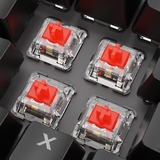 Sharkoon SKILLER SGK20, Teclado para gaming negro