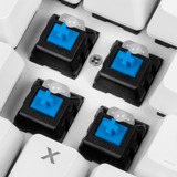 Sharkoon SKILLER SGK3 teclado USB QWERTY Inglés, Español Blanco, Teclado para gaming blanco, Completo (100%), USB, Interruptor mecánico, QWERTY, LED RGB, Blanco