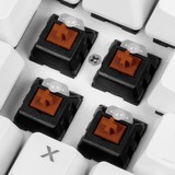 Sharkoon SKILLER SGK3 teclado USB QWERTY Inglés, Español Blanco, Teclado para gaming blanco, Completo (100%), USB, Interruptor mecánico, QWERTY, LED RGB, Blanco