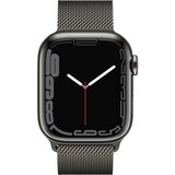 Apple SmartWatch grafito/Grafito