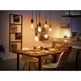 Philips Hue White Filament Lampe E27 Giant Edison ST72 550 lm, Lámpara LED 