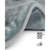 ProfiCare 331070, Almohadas eléctricas gris
