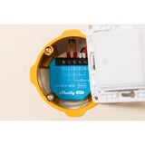 Shelly 1L, Relé cian