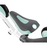 GLOBBER 638-206, Bicileta sin pedales Menta/blanco