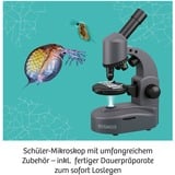 KOSMOS 33414758 juguete y kit de ciencia para niños, Caja de experimentos Microscopio, Desarrollo, 10 año(s)