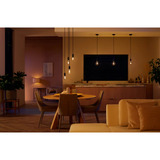 Philips Hue White Ambiance Filament lámpara E27 Giant Globe 550 lm, Lámpara LED 
