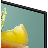 Samsung BE65FX-H, Pantalla de gran formato negro