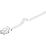 goobay 93361 cable de red Blanco 5 m Cat5e U/UTP (UTP) blanco, 5 m, Cat5e, U/UTP (UTP), RJ-45, RJ-45