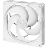 ARCTIC P14 PWM PST Carcasa del ordenador Ventilador 14 cm Blanco blanco, Ventilador, 14 cm, 200 RPM, 1700 RPM, 0,3 sonio, 123,69 m³/h