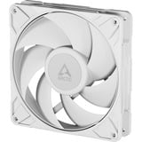 ARCTIC P14 Pro PST Carcasa del ordenador Ventilador 14 cm Blanco 1 pieza(s) blanco, Ventilador, 14 cm, 400 RPM, 2500 RPM, 186 m³/h, Blanco