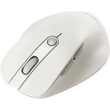 ASUS MD105, Ratón beige