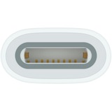 Apple Adaptador USB, toma USB-C > toma Apple Pencil blanco