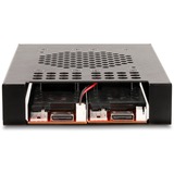 DeLOCK Marco extraíble de 3,5″ para 2 x M.2 NVMe SSD, Bastidor de instalación 