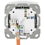 Digitus Toma de datos CAT.6A empotrada, blindada, 1x RJ-45 LSA, Caja de conexiones blanco