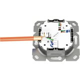 Digitus Toma de datos CAT.6A empotrada, blindada, 1x RJ-45 LSA, Caja de conexiones blanco