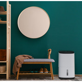 Meaco Dry Arete One 25L Deshumidificador por compresor y purificador de aire blanco/Negro