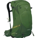 Osprey Stratos 34, Mochila verde