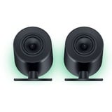 Razer Nommo V2 Pro, Altavoz negro