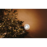 Shelly BUSHWB2, Conjunto 