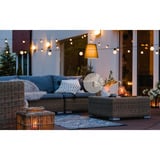 Shelly Paquete navideño 2, Conjunto 