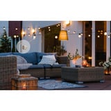 Shelly Paquete navideño 2, Conjunto 