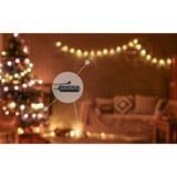 Shelly Paquete navideño 2, Conjunto 