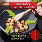 Tefal G28119, Pan negro