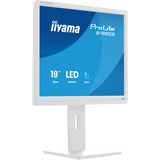 iiyama B1980S-W1, Monitor LED blanco (mate)