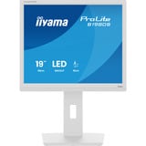 iiyama B1980S-W1, Monitor LED blanco (mate)