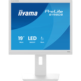 iiyama B1980S-W1, Monitor LED blanco (mate)