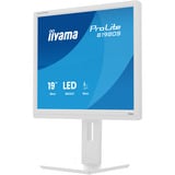 iiyama B1980S-W1, Monitor LED blanco (mate)
