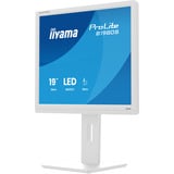iiyama B1980S-W1, Monitor LED blanco (mate)