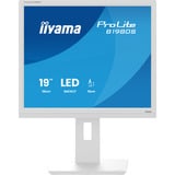iiyama ProLite B1980S-W1 pantalla para PC 48,3 cm (19") 1280 x 1024 Pixeles SVGA LED Blanco, Monitor LED blanco (mate), 48,3 cm (19"), 1280 x 1024 Pixeles, SVGA, LED, 3 ms, Blanco
