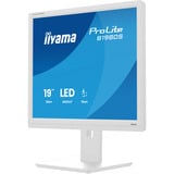 iiyama ProLite B1980S-W1 pantalla para PC 48,3 cm (19") 1280 x 1024 Pixeles SVGA LED Blanco, Monitor LED blanco (mate), 48,3 cm (19"), 1280 x 1024 Pixeles, SVGA, LED, 3 ms, Blanco