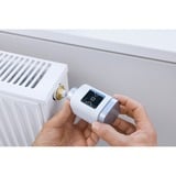 Bosch 8750002330, Termostato de la calefacción blanco