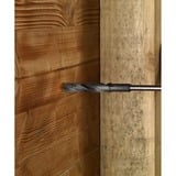 Bosch BROCA PRO Wood HSS para encofrado e instalación, SDS-plus, Ø 20mm, Taladro 