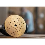 Bosch Expert C470 juego de hojas de lija, Ø 150mm, K60 / 120 / 240, Hoja de lija 