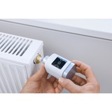 Bosch Termostato para radiador Smart Home II, Termostato de la calefacción blanco