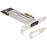 DeLOCK DeLock Marco intercambiable Tarjeta PCI Express para 1 x SSD M.2 NVMe, Tarjeta de interfaz 