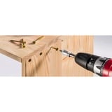 EINHELL Juego de puntas, 34 piezas, Conjuntos de bits 